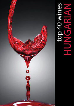 Hungarian Top 40 Wines termékhez kapcsolódó kép