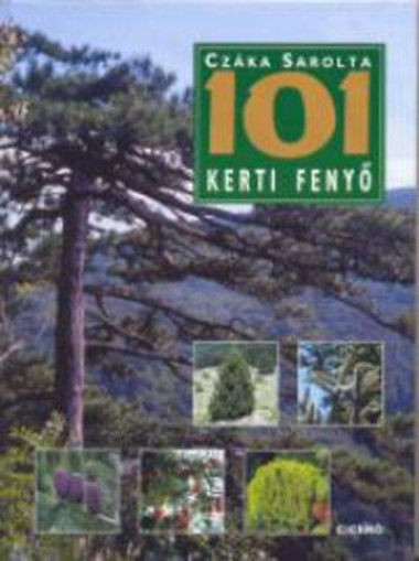 101 kerti fenyő termékhez kapcsolódó kép