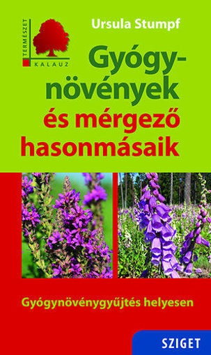 Gyógynövények és mérgező hasonmásaik termékhez kapcsolódó kép