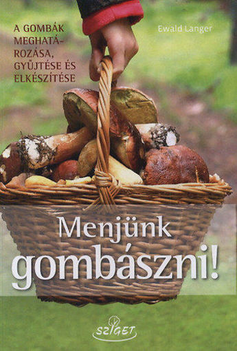 Menjünk gombászni! termékhez kapcsolódó kép