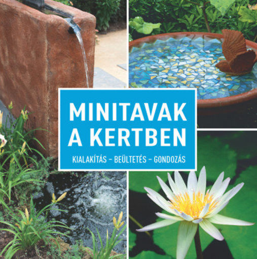 Minitavak a kertben - Kialakítás - beültetés - gondozás termékhez kapcsolódó kép