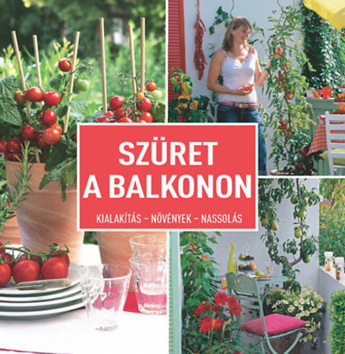 Szüret a balkonon - Kialakítás- Növények - Nassolás termékhez kapcsolódó kép