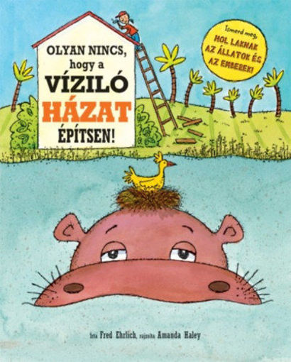 Olyan nincs, hogy a víziló házat építsen! termékhez kapcsolódó kép