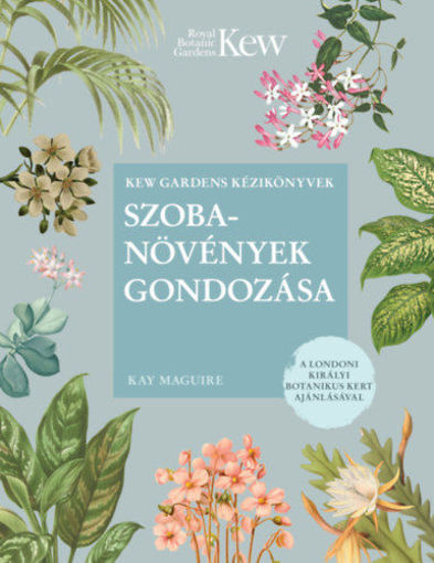 Szobanövények gondozása termékhez kapcsolódó kép