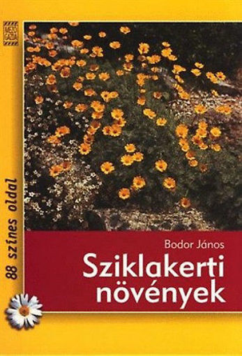 Sziklakerti növények termékhez kapcsolódó kép