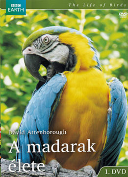 A madarak élete 1. termékhez kapcsolódó kép