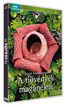 A növények magánélete 2. termékhez kapcsolódó kép