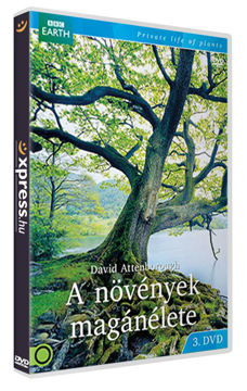 A növények magánélete 3. termékhez kapcsolódó kép