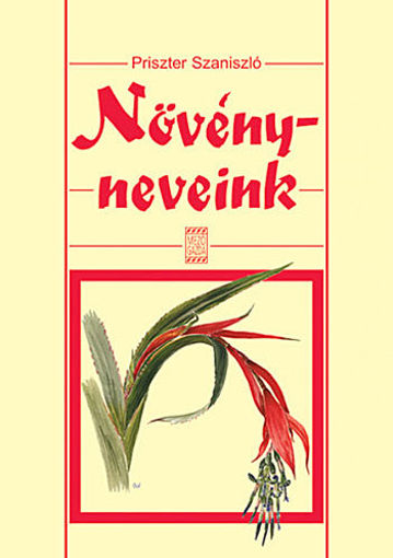 Növényneveink termékhez kapcsolódó kép