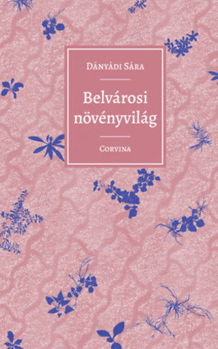Belvárosi növényvilág termékhez kapcsolódó kép