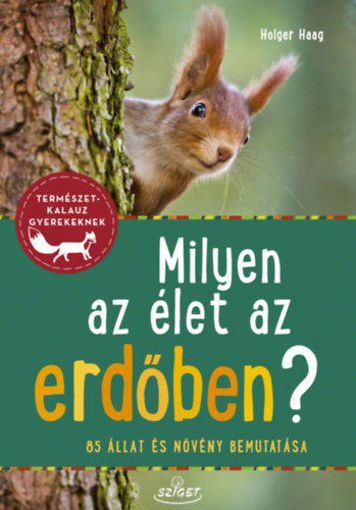 Milyen az élet az erdőben?  - 85 állat és növény bemutatása termékhez kapcsolódó kép