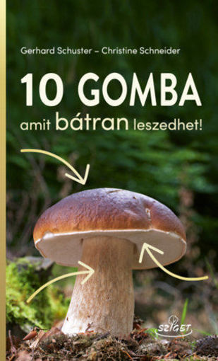 10 gomba amit bátran leszedhet! termékhez kapcsolódó kép