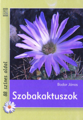 Szobakaktuszok termékhez kapcsolódó kép