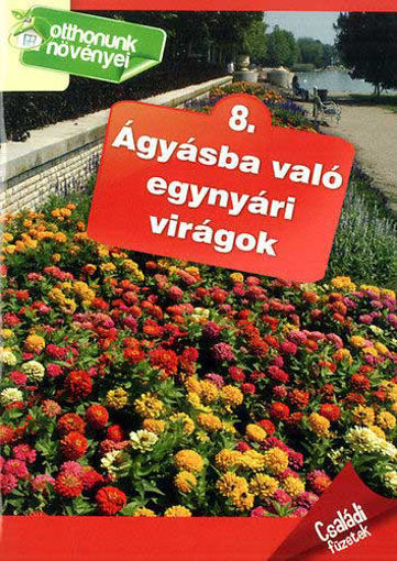 Ágyásba való egynyári virágok - Otthonunk növényei 8. - Otthonunk növényei 8. termékhez kapcsolódó kép