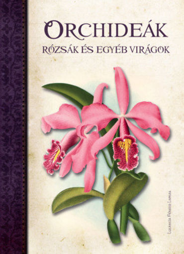 Orchideák, Rózsák és egyéb virágok termékhez kapcsolódó kép