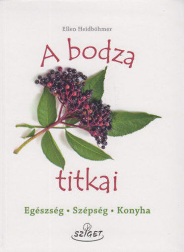 A bodza titkai - Egészség, szépség, konyha termékhez kapcsolódó kép