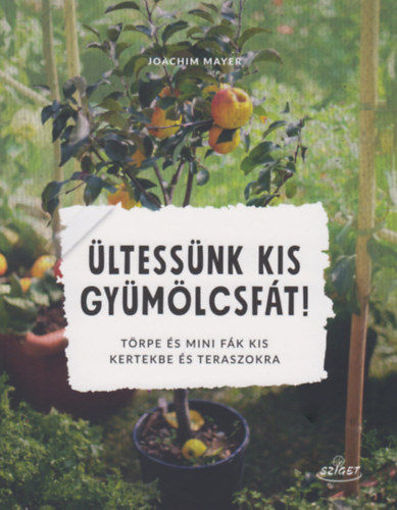 Ültessünk kis gyümölcsfát! - Törpe és mini fák kis kertekbe és teraszokra termékhez kapcsolódó kép