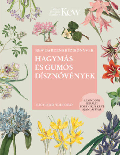 Hagymás és gumós dísznövények termékhez kapcsolódó kép