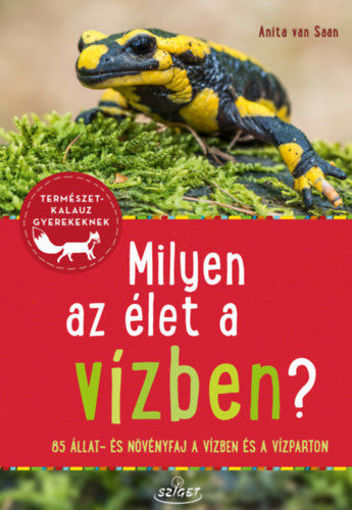 Milyen az élet a vízben? - 85 állat- és növényfaj a folyókban, a tavakban és a vízparton termékhez kapcsolódó kép