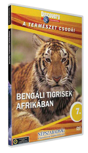 A természet csodái 7. - Bengáli tigrisek Afrikában termékhez kapcsolódó kép