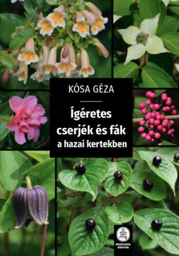 Ígéretes cserjék és fák a hazai kertekben termékhez kapcsolódó kép