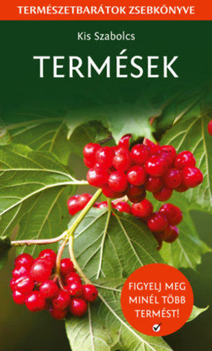 Termések - Természetbarátok zsebkönyve termékhez kapcsolódó kép