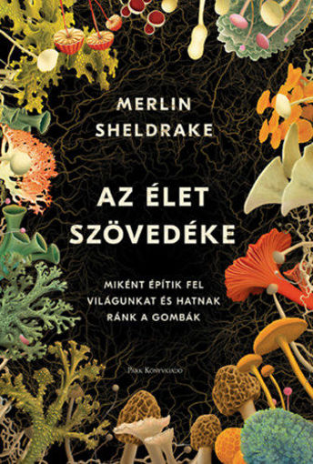Az élet szövedéke - Miként építik fel világunkat és hatnak ránk a gombák termékhez kapcsolódó kép