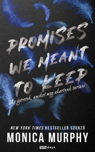 Promises We Meant to Keep - Az ígéretek, amiket meg akartunk tartani termékhez kapcsolódó kép