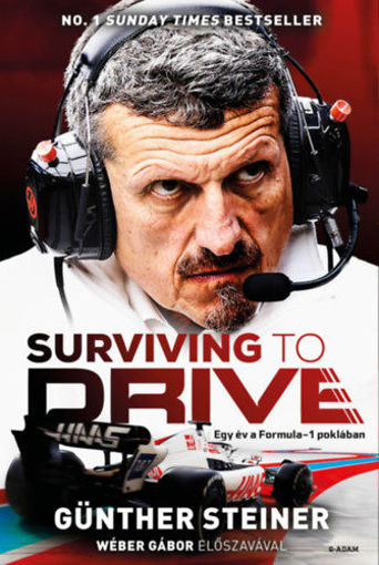 Surviving to Drive - Egy év a Formula-1 poklában termékhez kapcsolódó kép