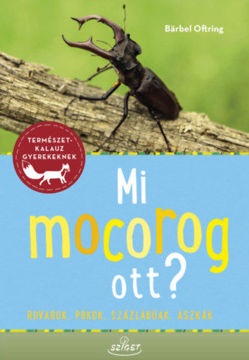 Mi mocorog ott? - Rovarok, pókok, százlábúak, ászkák termékhez kapcsolódó kép
