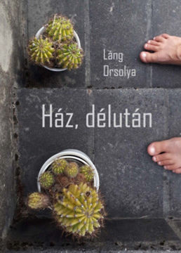 Ház, délután termékhez kapcsolódó kép