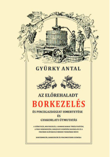 Az előrehaladt borkezelés és pincegazdászat ismertetése és gyakorlati útmutatás termékhez kapcsolódó kép