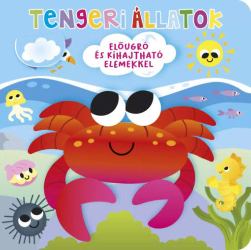 Ki bújt el? Tengeri állatok termékhez kapcsolódó kép