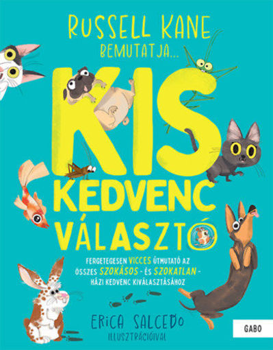 Kiskedvenc-választó termékhez kapcsolódó kép