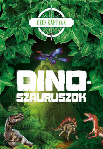 Okos kártyák - Dinoszauruszok termékhez kapcsolódó kép