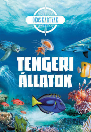 Okos kártyák - Tengeri állatok termékhez kapcsolódó kép