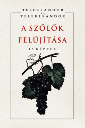 A szőlők felújítása termékhez kapcsolódó kép