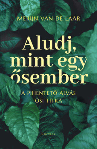 Aludj, mint egy ősember - A pihentető alvás ősi titka termékhez kapcsolódó kép