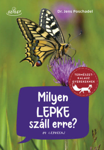 Milyen lepke száll erre? - 84 lepkefaj termékhez kapcsolódó kép