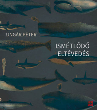 Ismétlődő eltévedés termékhez kapcsolódó kép