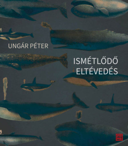 Ismétlődő eltévedés termékhez kapcsolódó kép