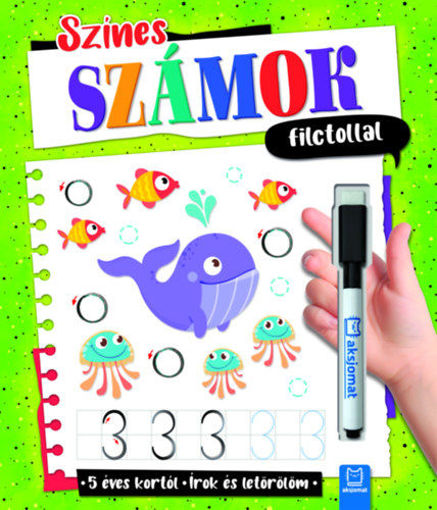 Színes számok filctollal - Írok és letörlöm - 5 éves kortól termékhez kapcsolódó kép