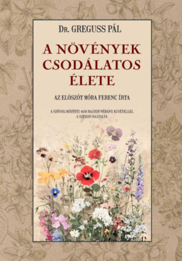 A növények csodálatos élete termékhez kapcsolódó kép