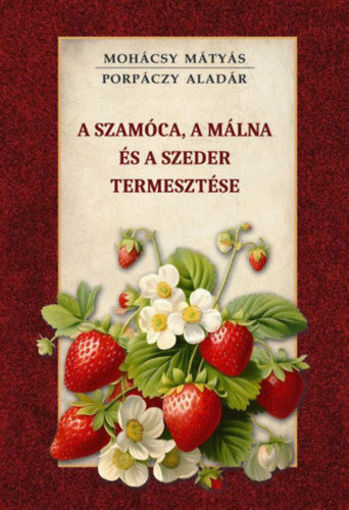 A szamóca, a málna és a szeder termesztése termékhez kapcsolódó kép