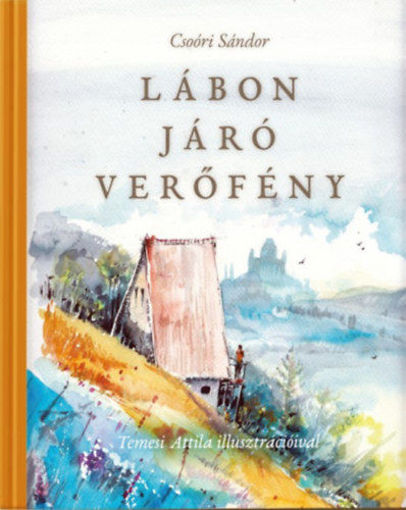 Lábon járó verőfény - (Gyermekversek, 1987) termékhez kapcsolódó kép