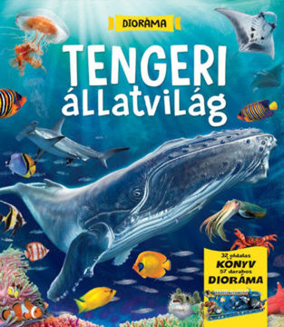 Dioráma - Tengeri állatvilág termékhez kapcsolódó kép
