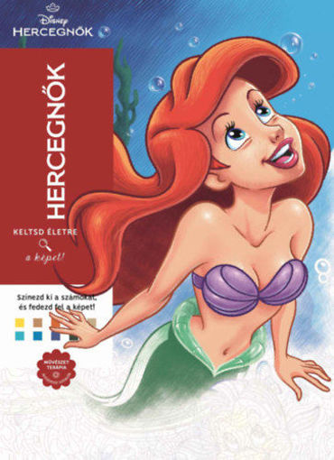 Disney - Hercegnők termékhez kapcsolódó kép