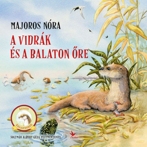 A vidrák és a Balaton őre termékhez kapcsolódó kép