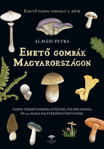 Ehető gombák Magyarországon - Vadon termő gombák gyűjtése, feldolgozása és 200 hazai faj étkezési útmutatója termékhez kapcsolódó kép