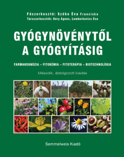 Gyógynövénytől a gyógyításig - Farmakognózia - Fitokémia - Fitoterápia - Biotechnológia termékhez kapcsolódó kép